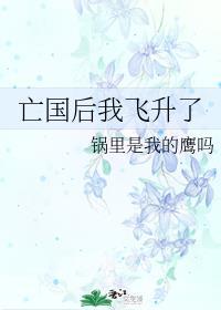 亡国后我成了敌国王妃