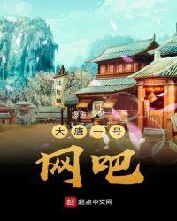大唐壹号怎么样