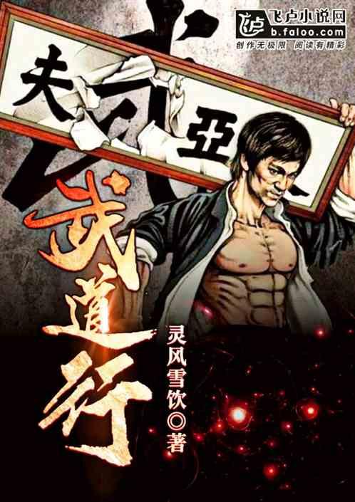 武道行纪兑换码