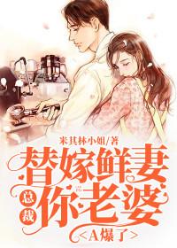 总裁替身老婆