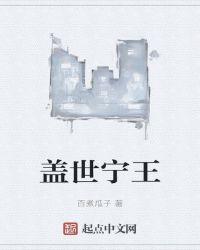 盖世王婿