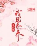 我见乔乔多妩媚笔趣阁