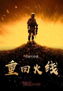 美剧火线重案组