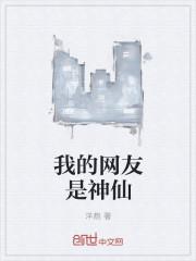 我的网友是什么