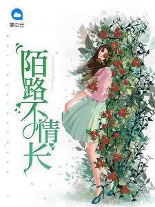 陌路情劫全文免费阅读夏遇