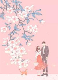 女主叶晴