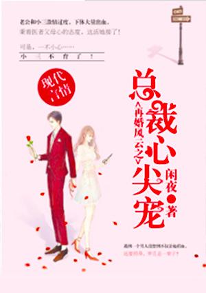 再婚密爱
