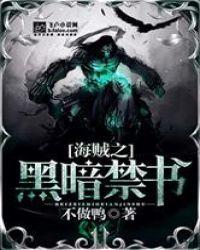 海贼之黑暗禁书盗版无法阅读