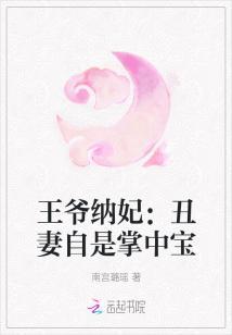 王爷纳妾丑王妃献舞穿越文章