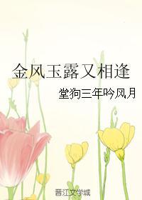 金风玉露相逢电视剧
