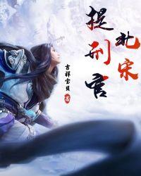 北宋提刑官TXT百度