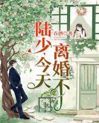 今天离婚不 第几章小宝爸爸找到