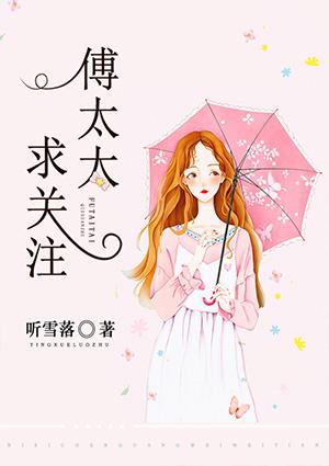 傅太太求关注免费阅读