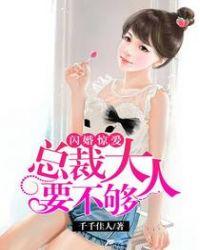 我和总裁大人闪婚了