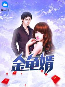 金龟婿故事