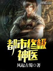 都市终极神医 风无痕