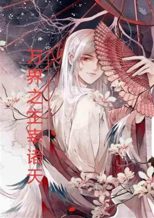 主宰诸天之万界永恒
