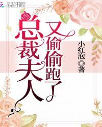总裁夫人偷偷给你生了两小孩