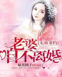 无效妻约老婆咱不离婚免费全文阅读