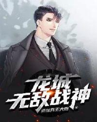 龙城免费无弹窗