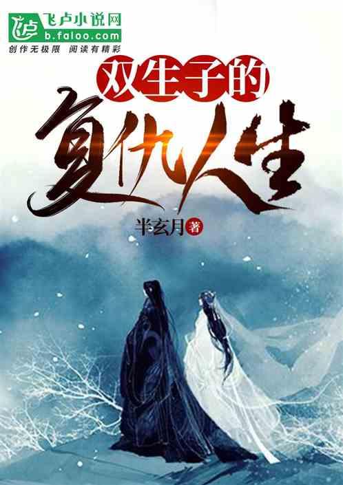 双生子设计