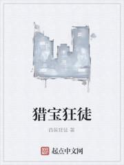 猎宝狂徒txt免费