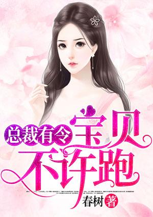 总裁有令宝贝不许跑虐吗