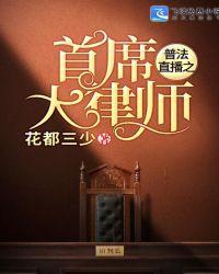 普法直播之首席大律师txt丫丫