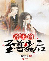 至尊冷王的毒医皇妃