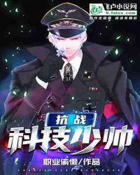 抗战科技少帅无错