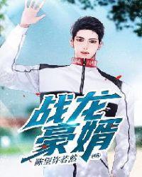 战龙强婿完结版