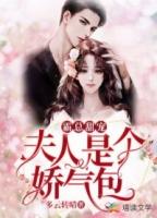 霸宠总裁夫人全文在线