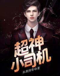 超级小司机免费阅读全文