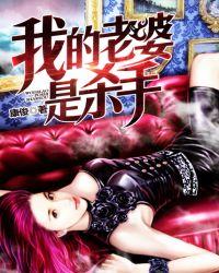 我的老婆是杀手女主有几个