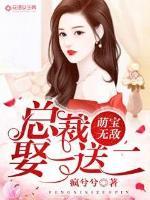 萌宝无敌总裁娶一送二小视频