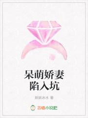 呆萌小娇妻军婚