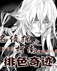 名侦探柯南之绯色奇迹有男主吗