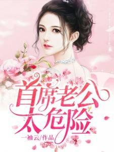 首席老公太危险原名