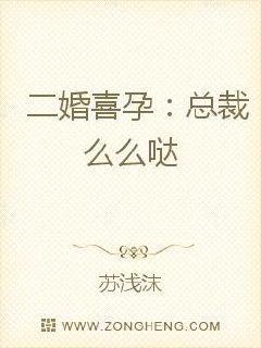 二婚总裁宠妻入怀