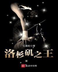 洛杉矶之王TXT
