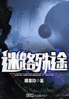 迷途原文