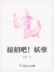 接招吧世子全文免费阅读