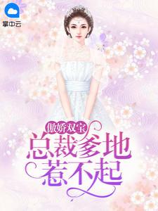 龙凤双宝总裁爹地很傲娇全文