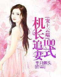 宠上云端机长追妻100式_
