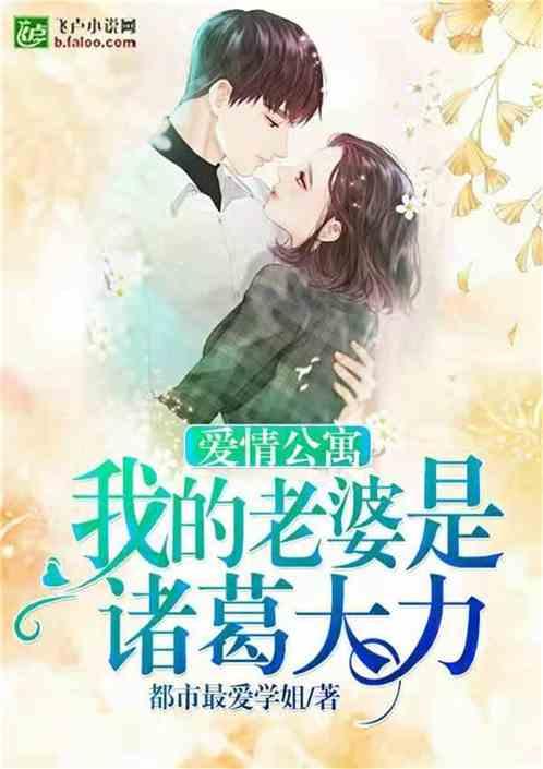 爱情公寓5之诸葛大力