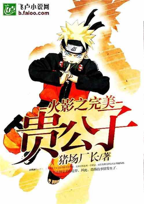 火影之完美世界