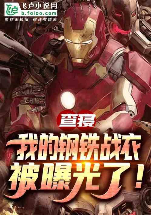 叫我钢铁侠