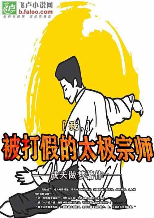 我被打假的太极宗师全本