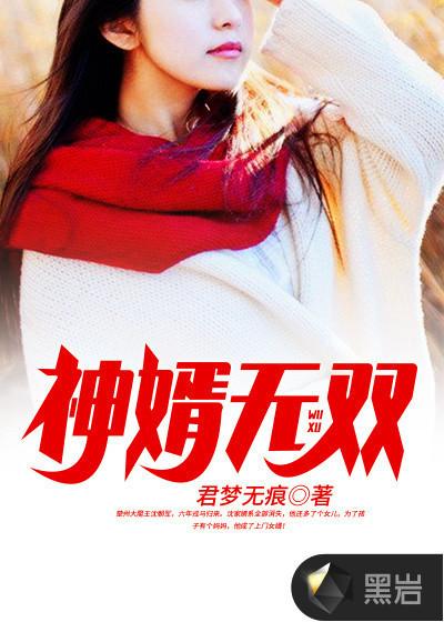 神婿无双宋成宇