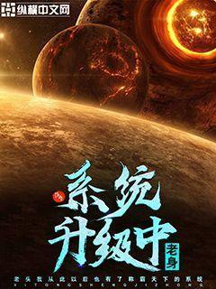 系统升级中什么情况